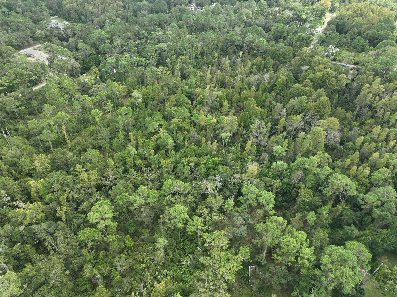 MOON LAKE ESTATES - Land