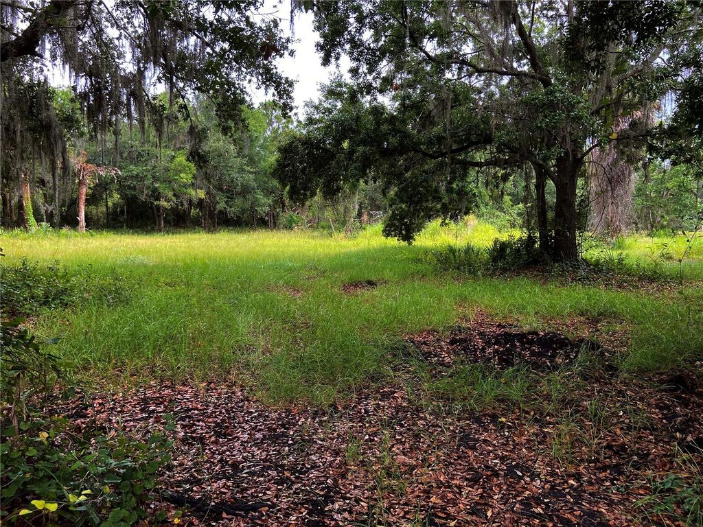 Photo of Lightfoot Road, Wimauma, FL 33598 (MLS # T3550764)