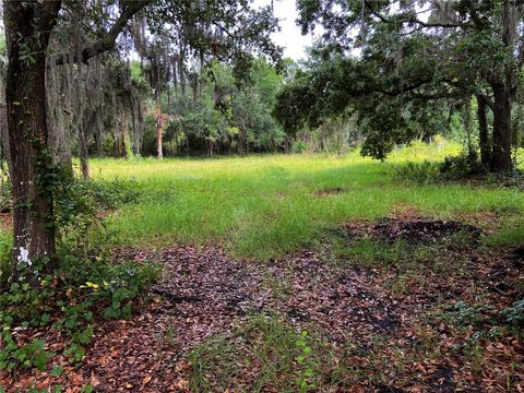LIGHTFOOT ROAD WIMAUMA FL 33598