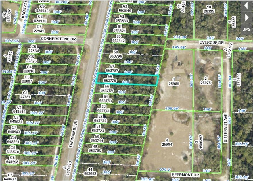 Description: COMMERCIAL HIGHLANDS US 301 UNREC LOT 56
VACANT RESIDENTIAL
Note: buyers I emphasize the importance of conducting thorough due diligence to ensure that the property meets your expectations and requirements.