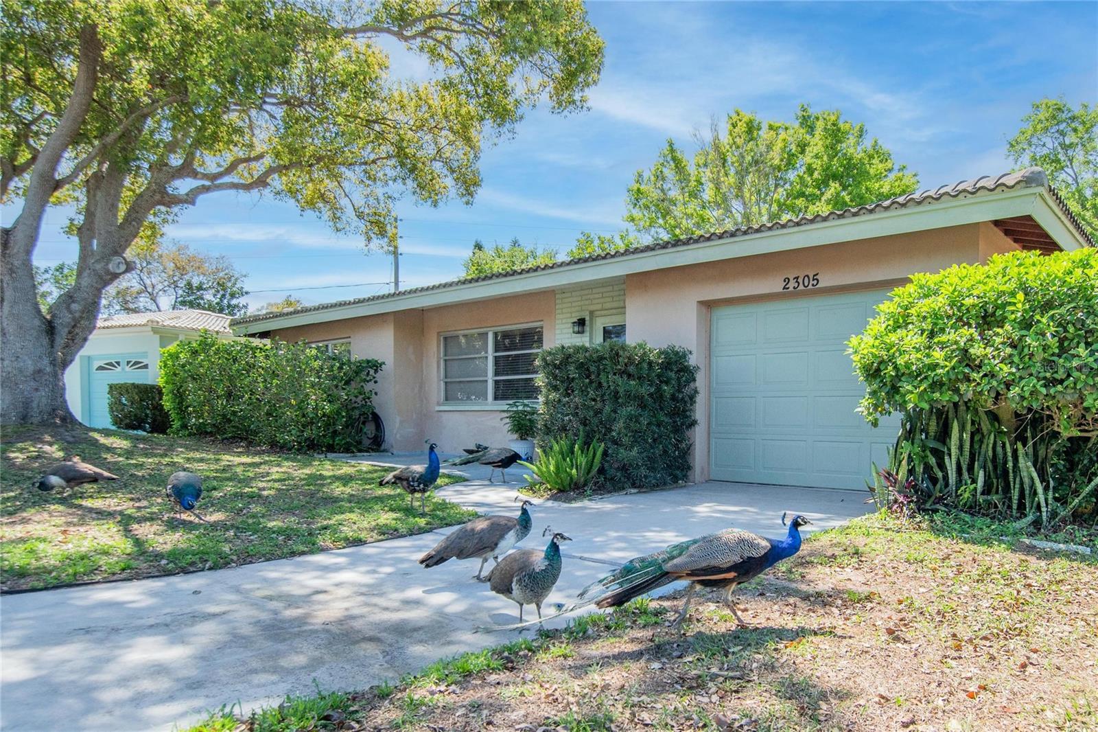 GREENBRIAR - Residential