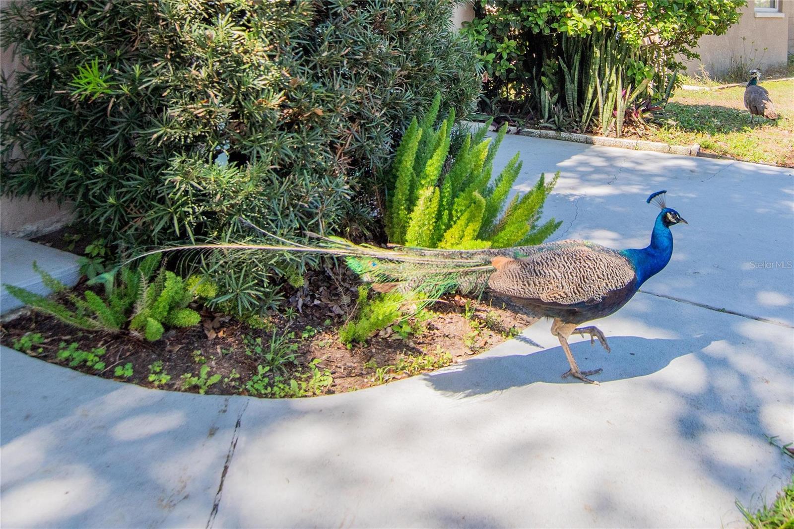 GREENBRIAR - Residential