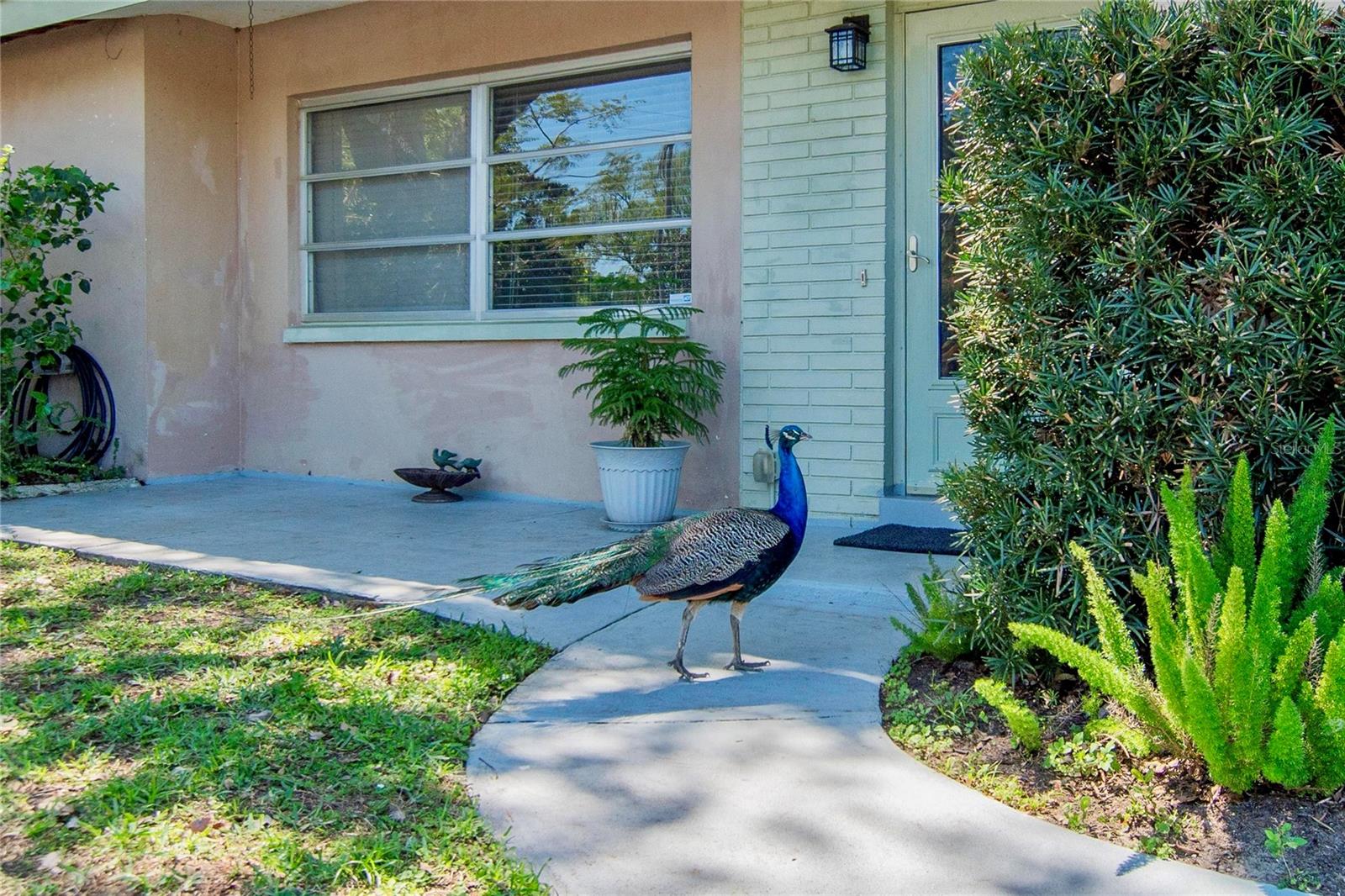 GREENBRIAR - Residential