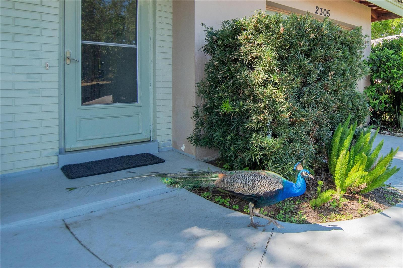 GREENBRIAR - Residential