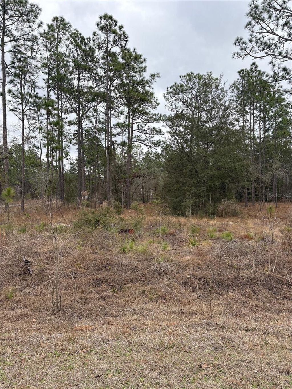 Photo of 1159 NW Redwood Drive, Dunnellon, FL 34431 (MLS # OM718935)