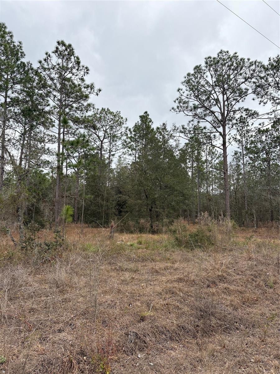 RAINBOW LAKES ESTATE - Land