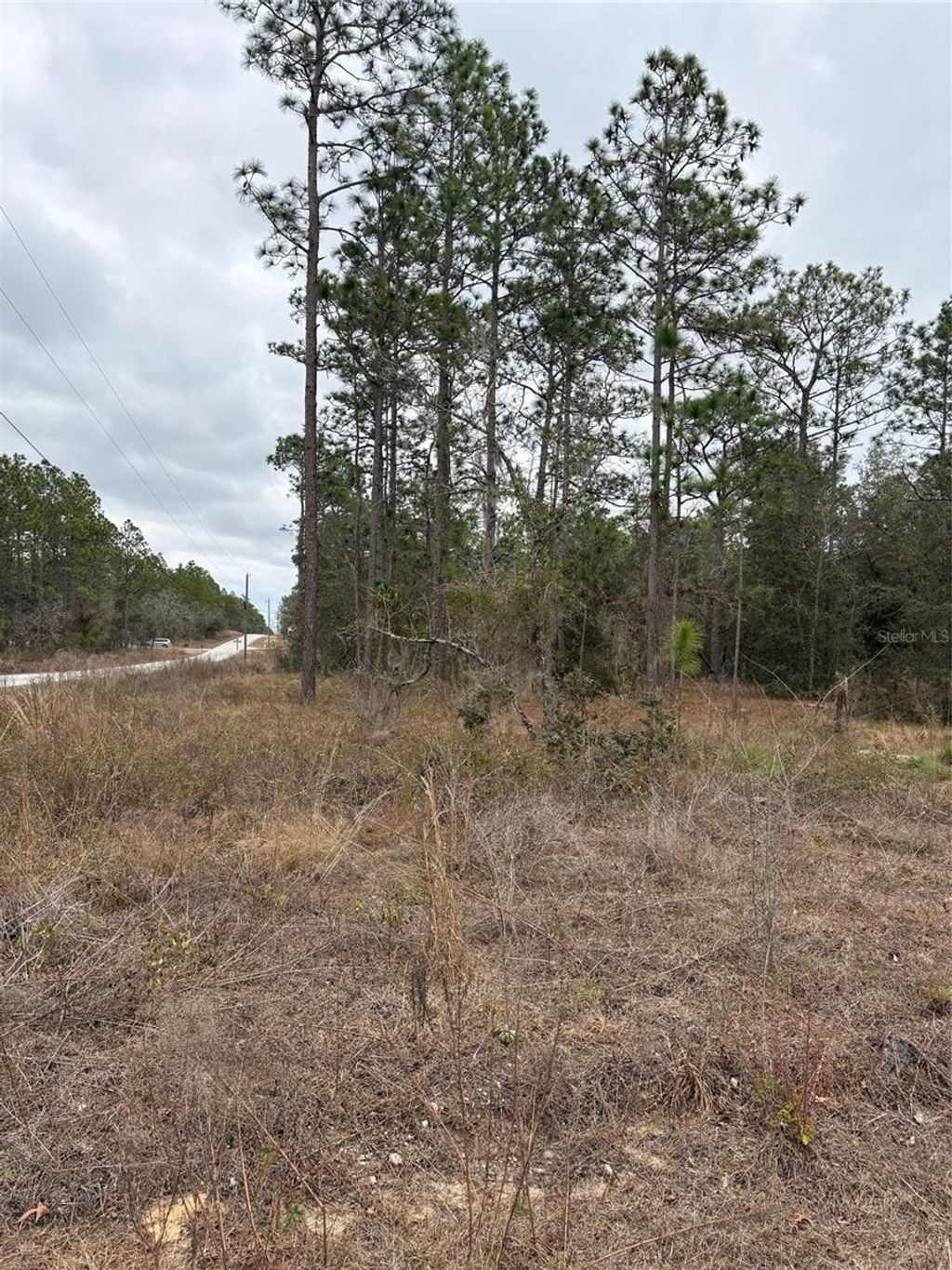 Photo of 1159 NW Redwood Drive, Dunnellon, FL 34431 (MLS # OM718935)