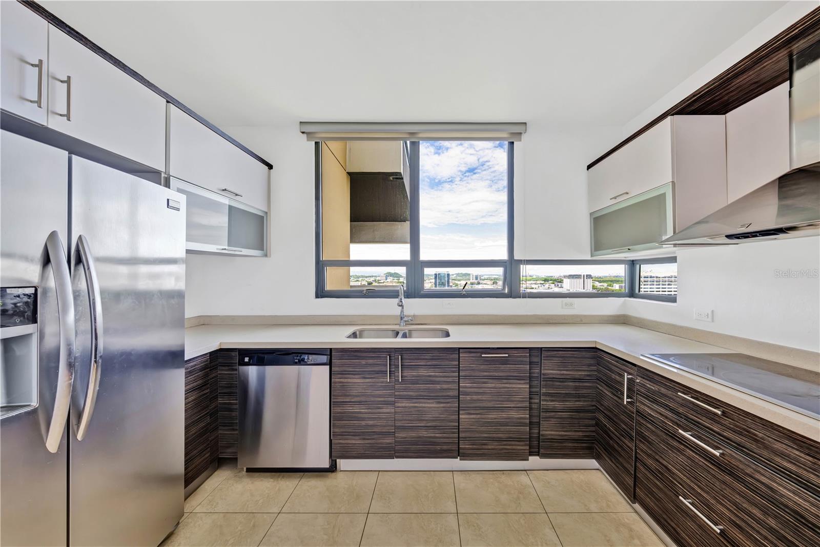 HATO REY - Residential