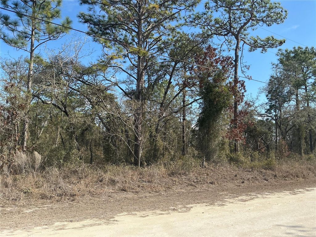 Photo of 11072 Hyde Street, Weeki Wachee, FL 34614 (MLS # OM719714)