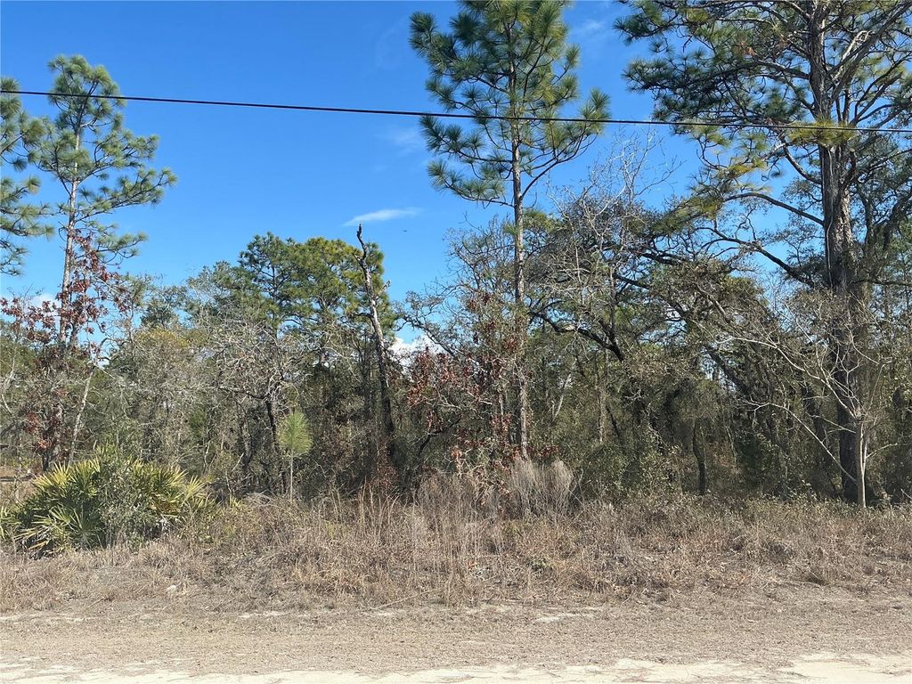 Photo of 11072 Hyde Street, Weeki Wachee, FL 34614 (MLS # OM719714)