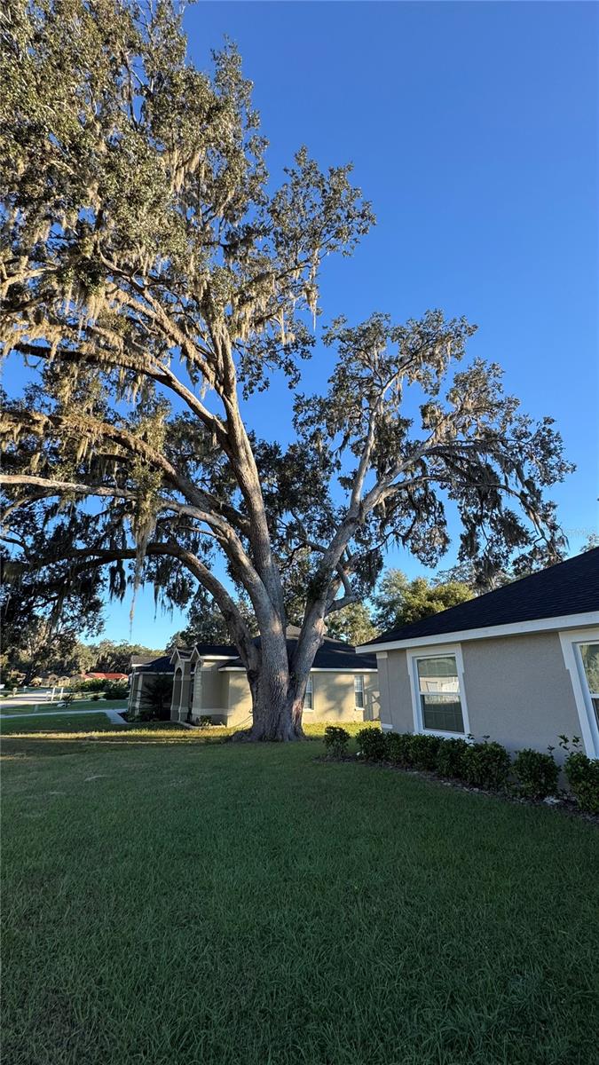 HIDDEN LAKE UN IV - Residential