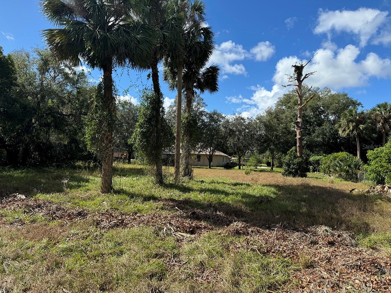 226 OAK DR