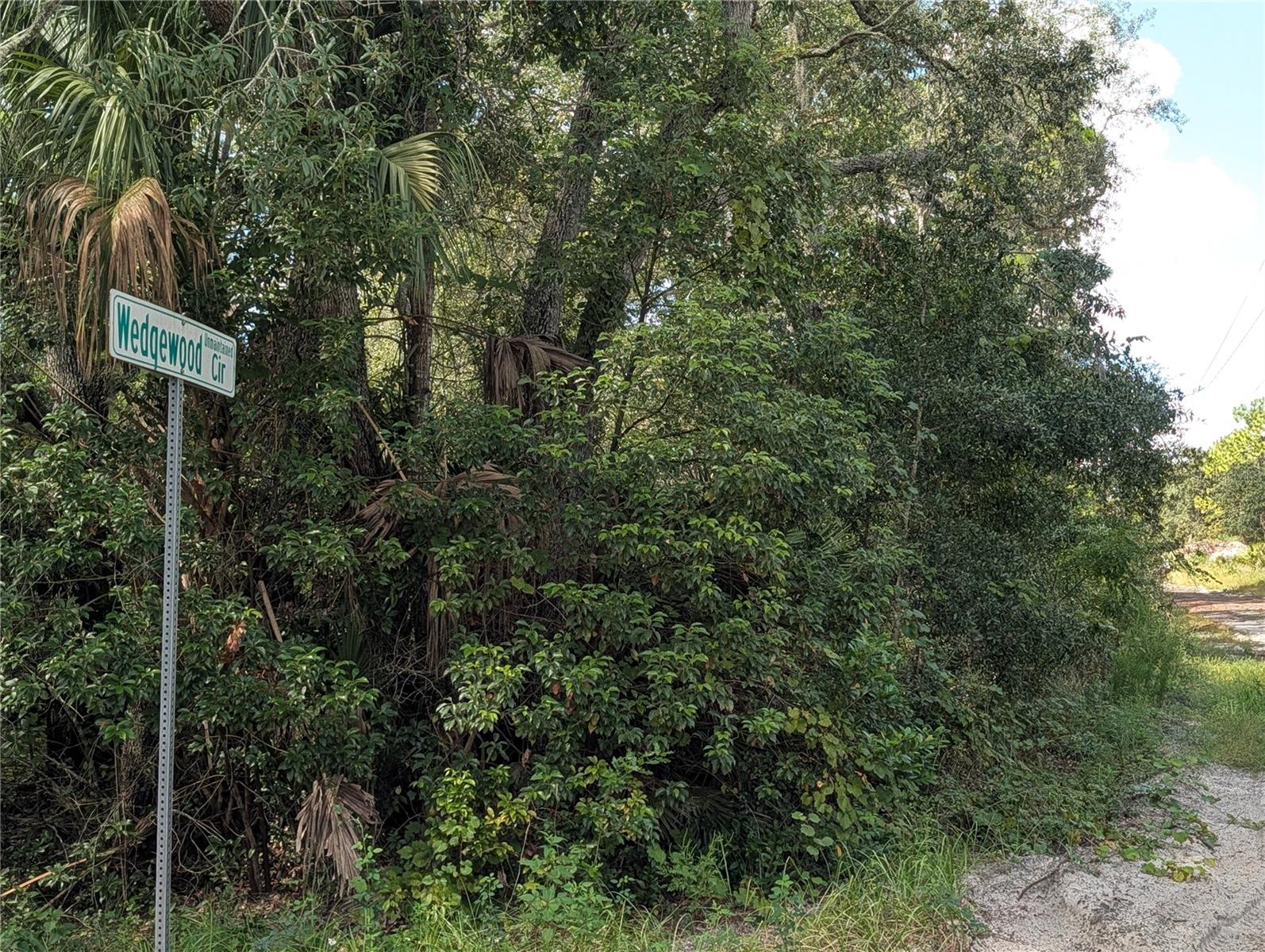 XXX WEDGEWOOD CIRCLE