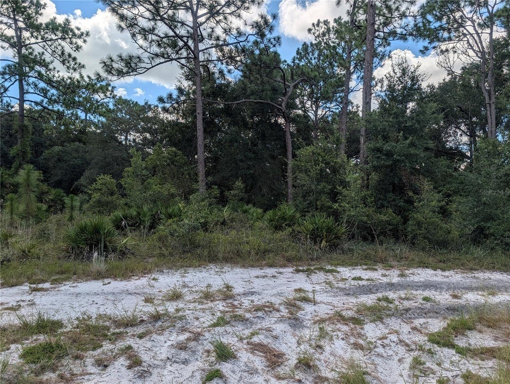 Photo of Xxx Wedgewood Circle, Mount Dora, FL 32757 (MLS # G5117986)