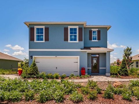 1654 BADGER CREEK ROAD KISSIMMEE FL 34744