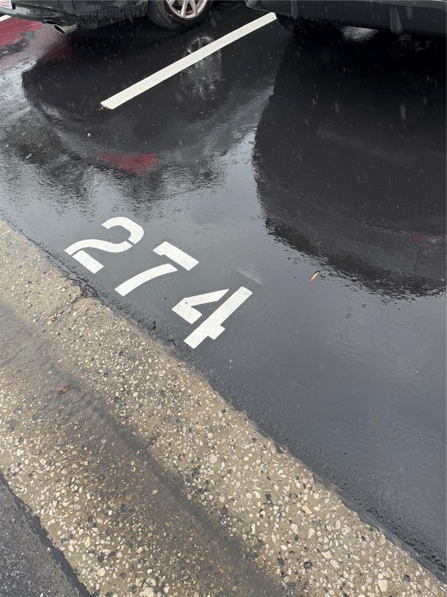 EAST LAKE WOODLANDS CYPRESS ESTATES - Residential Lease