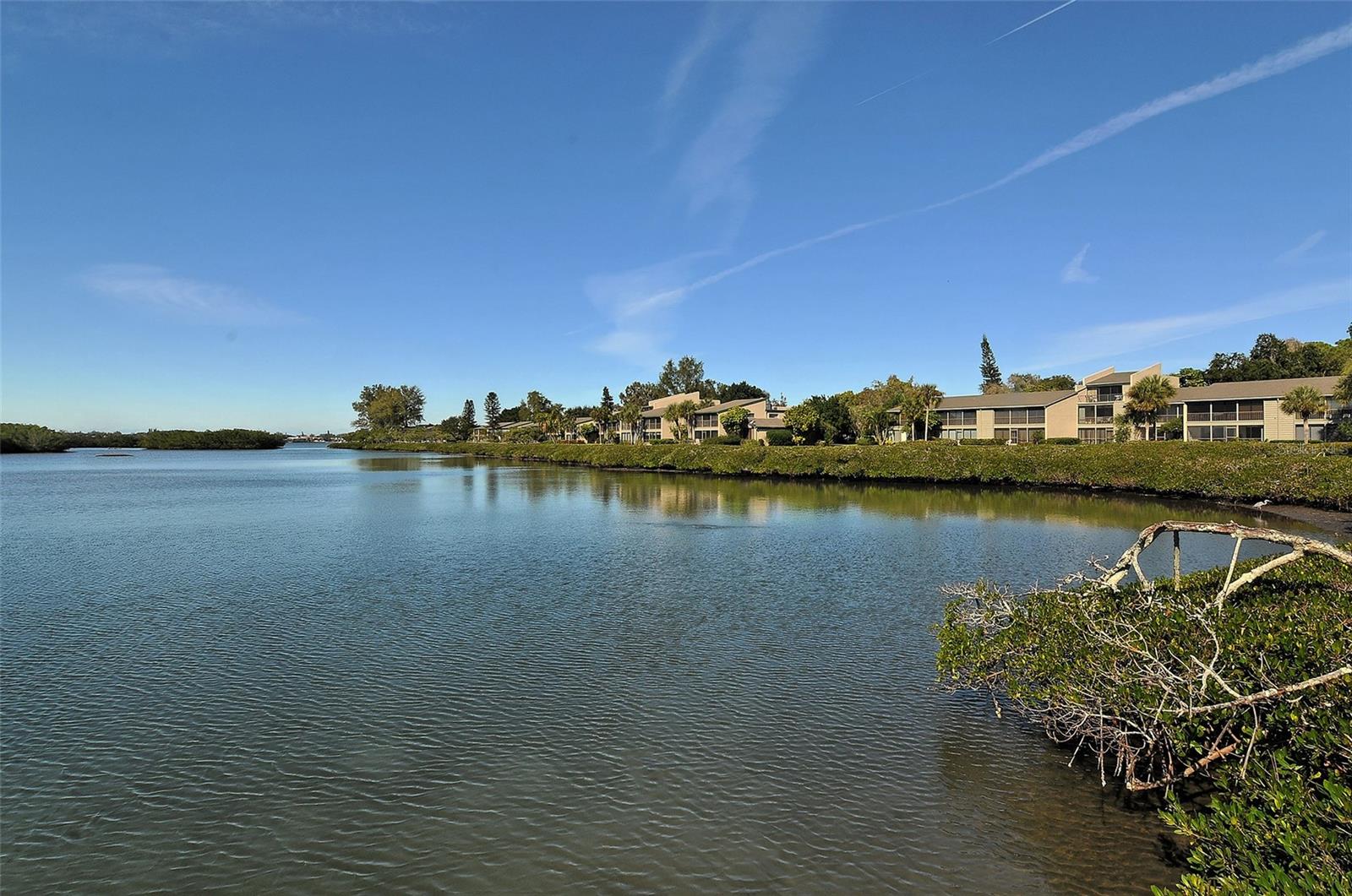 PELICAN COVE XII - Residential Lease