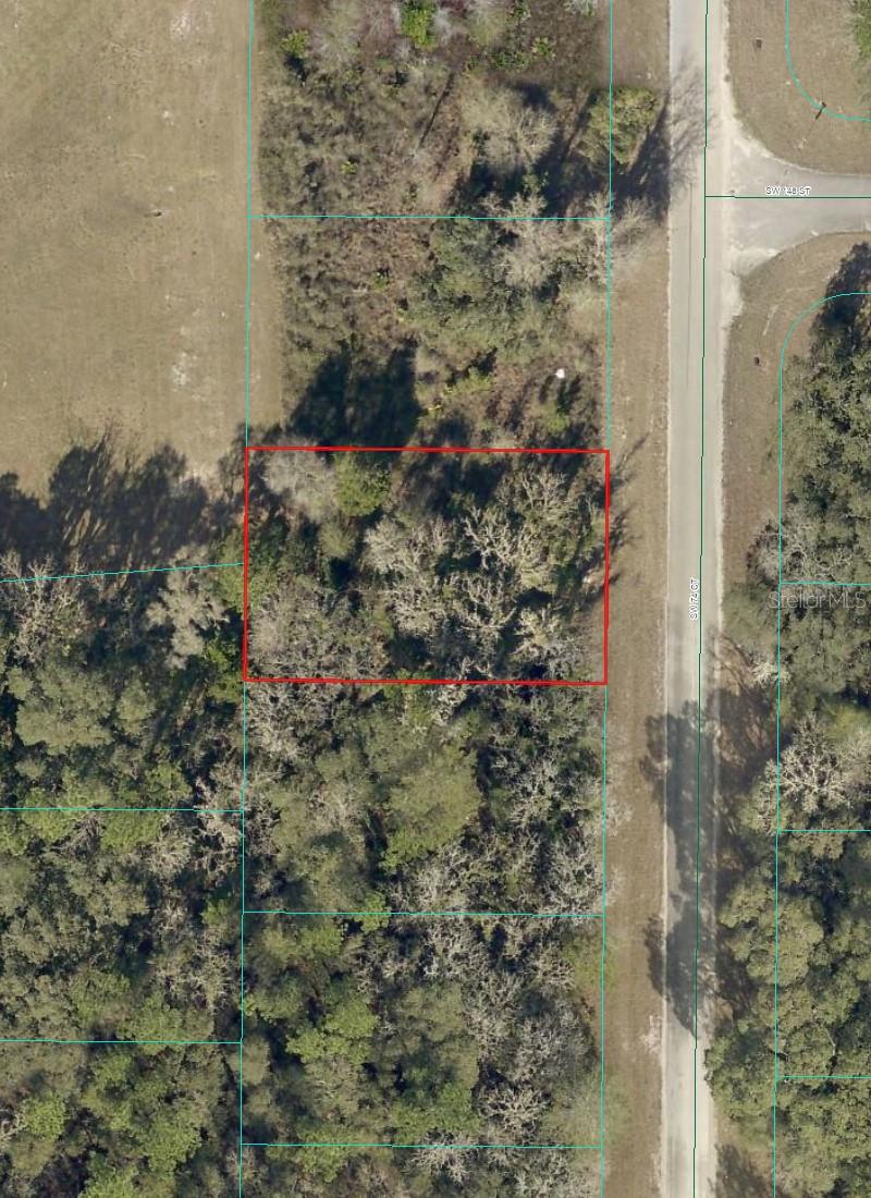 Check out and purchase this QUARTER ACRE LOT in Florida's fastest-growing city! This ELEVATED and DRY parcel offers a solid foundation; perfect for your future construction projects. Ideal for investors and buyers looking to secure an investment opportunity and capitalize on rapid SUBURBAN growth!