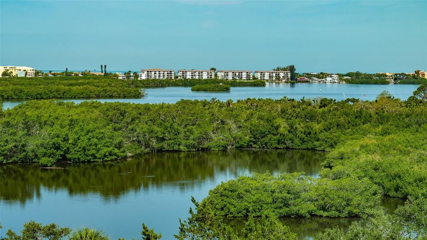 One or more photo(s) has been virtually staged. BEAUTIFUL FULL WATER VIEW AND 2ND FLOOR PRIVATE 2 CAR GARAGE! This incredible offering has everything you need to live a luxury condominium lifestyle in comfort and ease; 3 bedrooms, 3 full baths and a formal dining room. Add to this, gorgeous views from almost every room, and you have found a well-priced gem in Meridian at The Oaks Preserve to enjoy all the Gulf Coast has to offer. Take the private elevator to the sixth floor and explore this spacious unit. The great room has high ceilings and sliding doors to the large, screened balcony that offers gorgeous water views in the day, and breath-taking sunsets in the evening. The open kitchen features a pantry, stainless steel appliances and a breakfast bar.  The adjoining dining room gives you room to host formal meals. The master suite has a door that opens to the balcony, two walk-in closets and an en-suite master bath with soaking tub, a walk-in shower, a good number of cabinets, mirrors and counter space.  The 2nd bedroom is en-suite, and the third is currently being used as an office.  A nice option for those who want to work at home. Want to get outside and enjoy the Florida sunshine?  You can walk to the Meridian residents-only pool and spa. Here you will also find an outdoor kitchen and workout room. As members of The Oaks Club, you also can take advantage of all it offers, two 18-hole championship golf courses, 12 HAR-TRU tennis courts maintained to tournament standards, 4 of which are lighted, bocce and pickle ball courts, a junior Olympic community pool, and a wide variety of dining, recreational and social offerings.  Membership is required with homeownership.