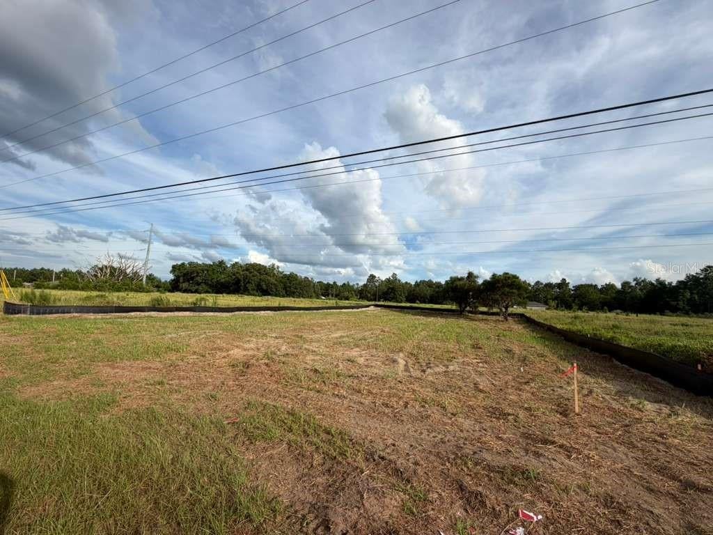 Photo of SE 113th Street Road, Ocklawaha, FL 32179 (MLS # O6419793)
