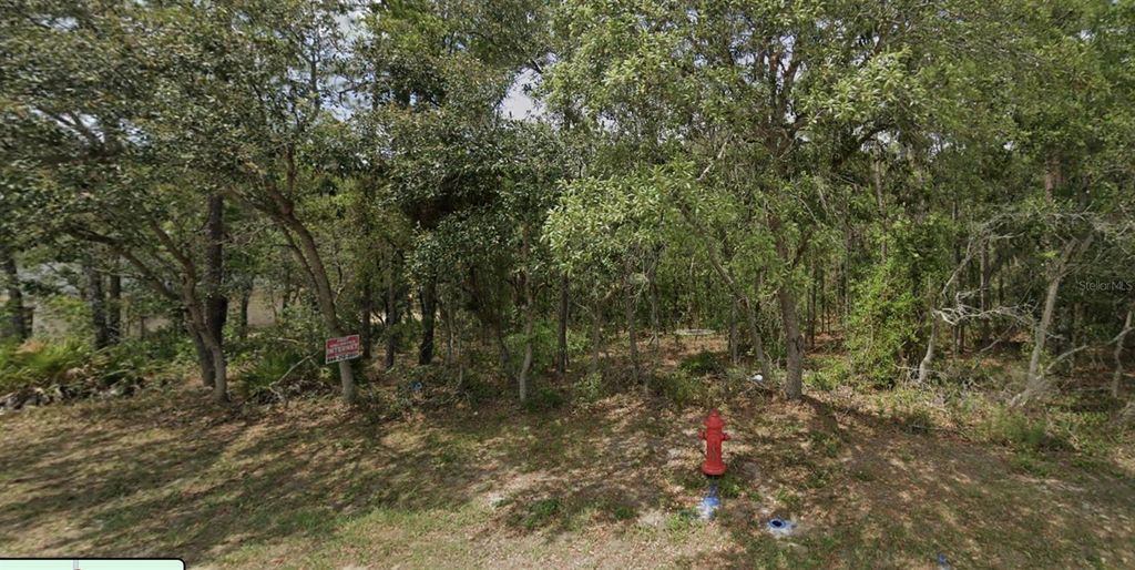 Photo of 4 SW 144th Lane, Ocala, FL 34473 (MLS # OM711610)