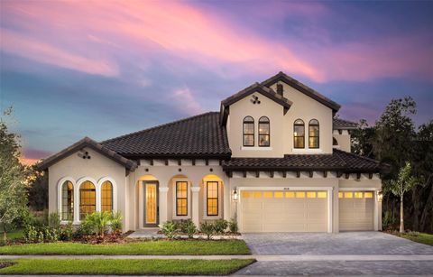 14638 SWISS BRIDGE DRIVE LITHIA FL 33547