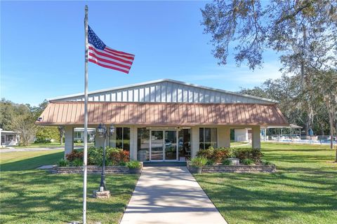 A home in MOUNT DORA