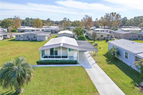 A home in MOUNT DORA