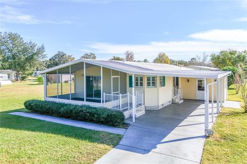 A home in MOUNT DORA