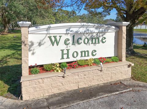 A home in MOUNT DORA