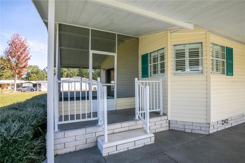 A home in MOUNT DORA