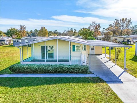 A home in MOUNT DORA