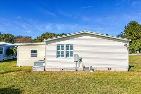 A home in MOUNT DORA