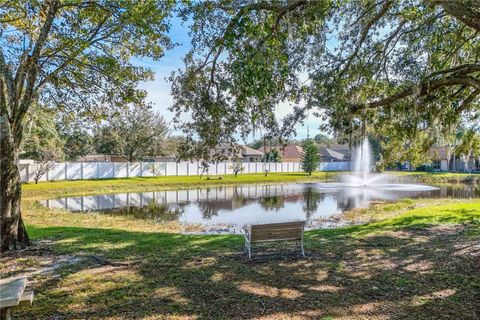 A home in MOUNT DORA