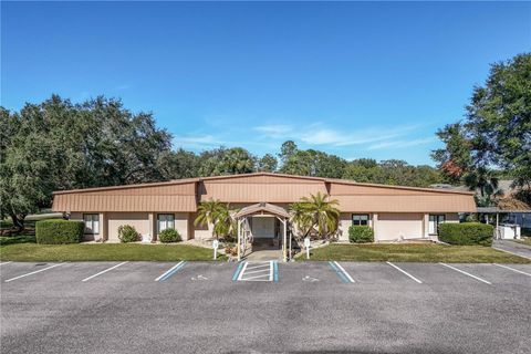 A home in MOUNT DORA