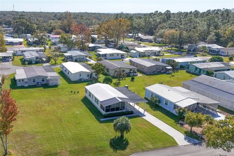 A home in MOUNT DORA