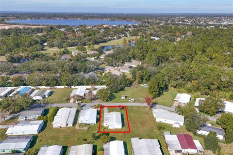 A home in MOUNT DORA