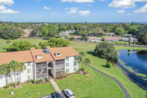 A home in PALM HARBOR