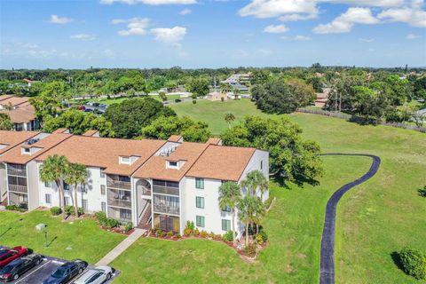 A home in PALM HARBOR