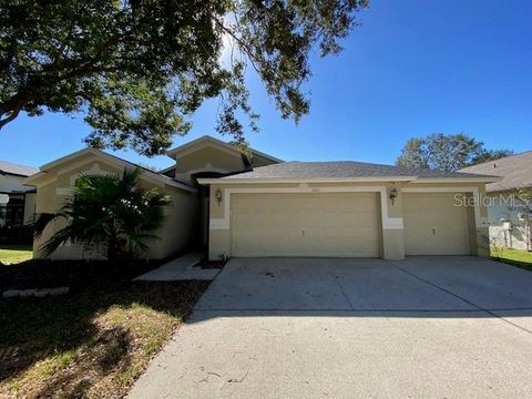 A home in VALRICO