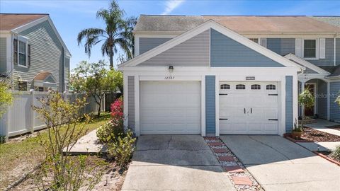 12307 VILLAGER COURT TAMPA FL 33625