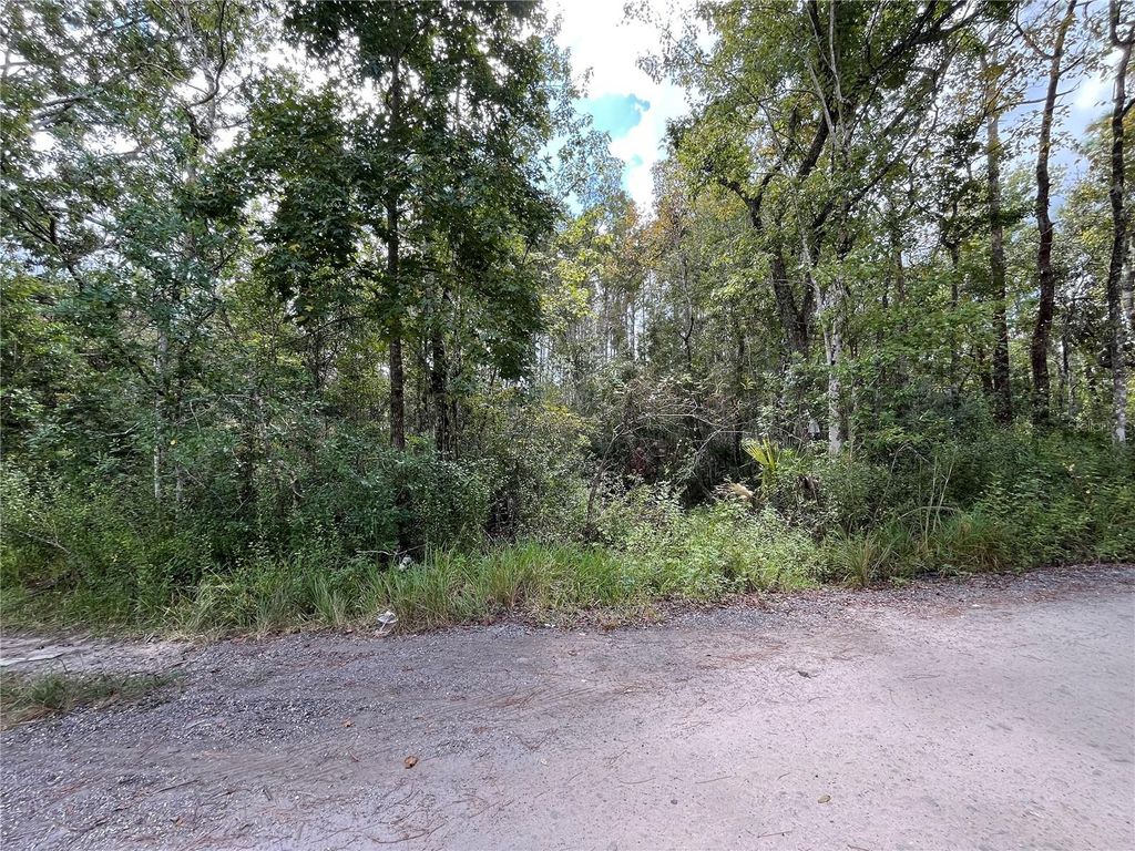 Photo of Fuller Ave #22, New Port Richey, FL 34654 (MLS # TB8435689)