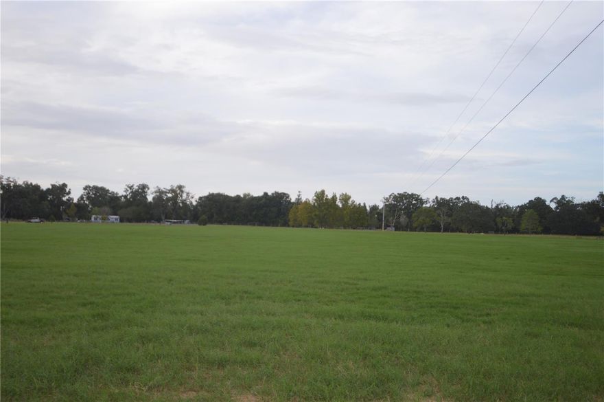 This 9.5 acres is located on a paved road in Gilchrist County and fenced on 3 sides. This acreage offers lots of opportunities! Grass everywhere with a grove of large sycamore trees towards the back side of the property. Located perfectly between Trenton and Bell, approximately 11 minutes away from each. Several springs are in the area, with Hart Spring 3.4 miles away, Otter Springs 5 miles away and 3.4 miles to the Suwannee River. This 9.5 acres is out of the flood zone and has the potential to become your perfect home site!