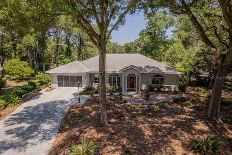 Photo of 8710 SW 190th Circle, Dunnellon, FL 34432 (MLS # OM725877)