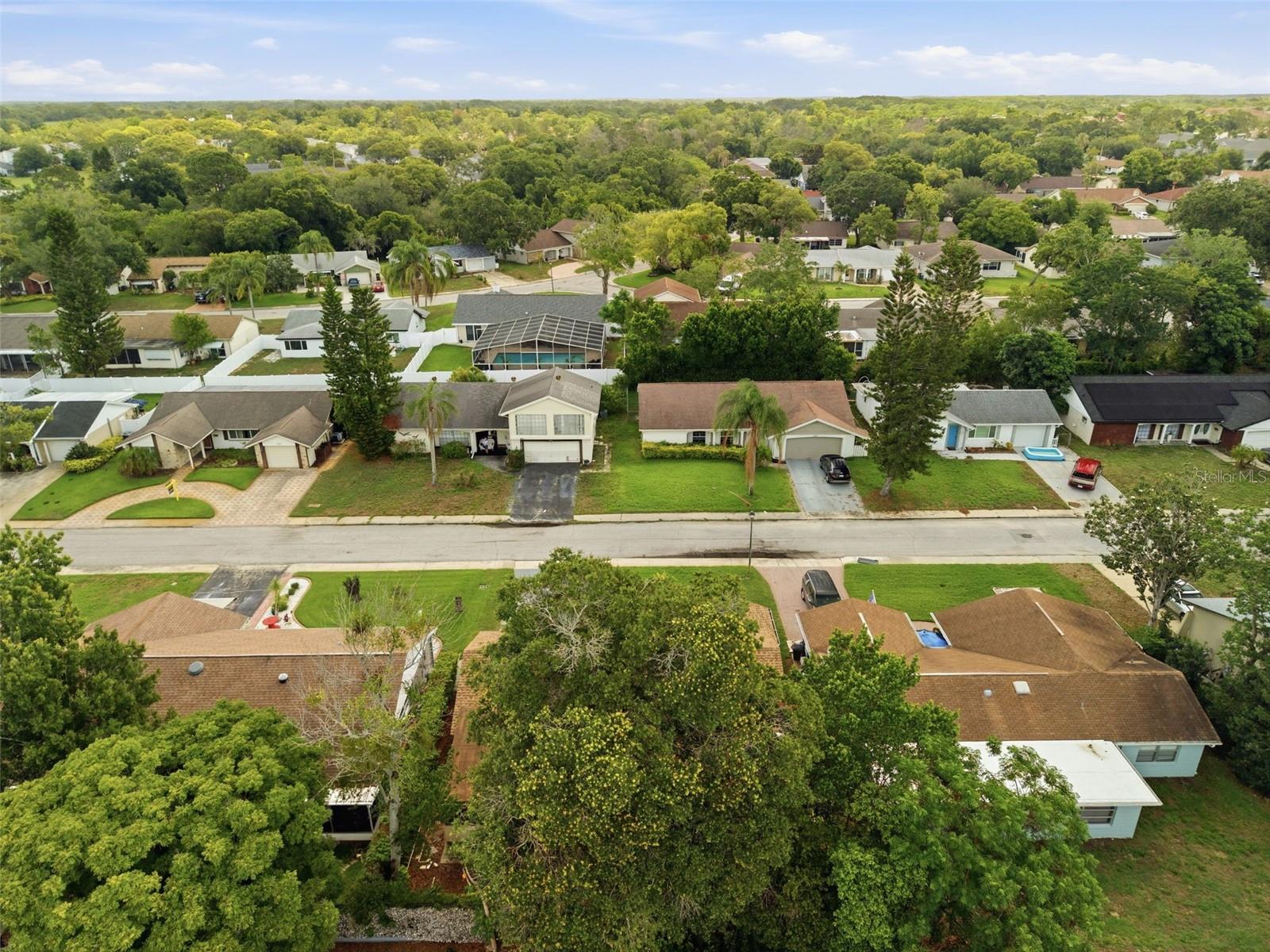 12219 QUAIL RUN ROW