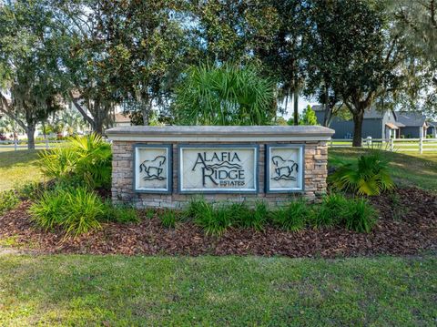 Photo of 103 Alafia Estates Lane, Plant City, FL 33567 (MLS # TB8532830)