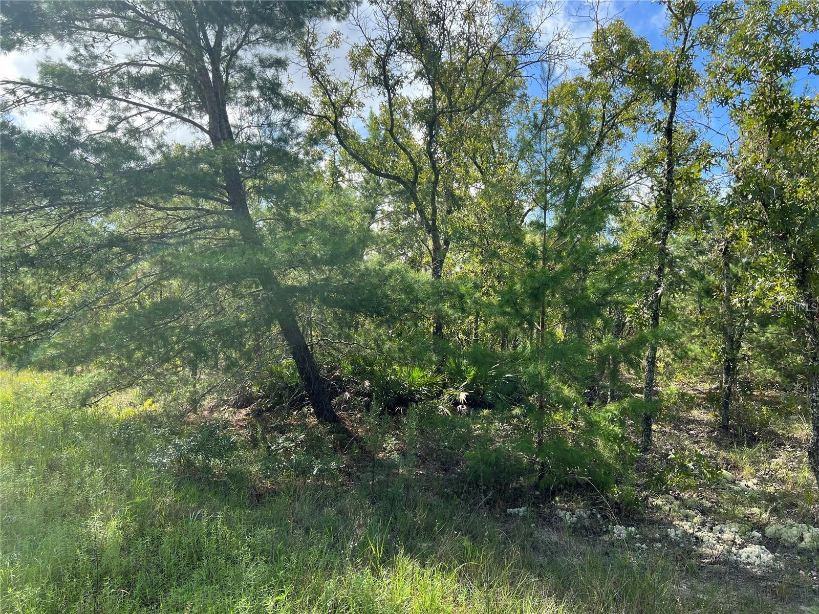 ROLLING HILLS UN 01 - Land