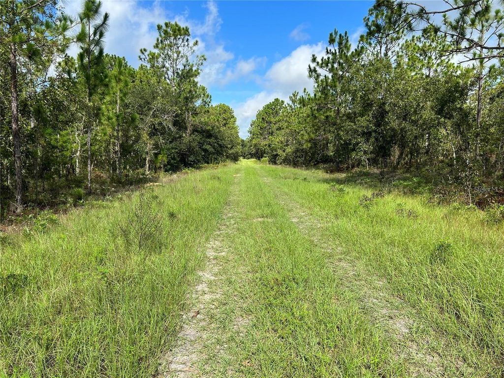Photo of Tbd SW 93rd Street, Dunnellon, FL 34432 (MLS # OM715100)