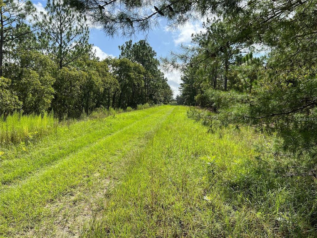 Photo of Tbd SW 93rd Street, Dunnellon, FL 34432 (MLS # OM715100)
