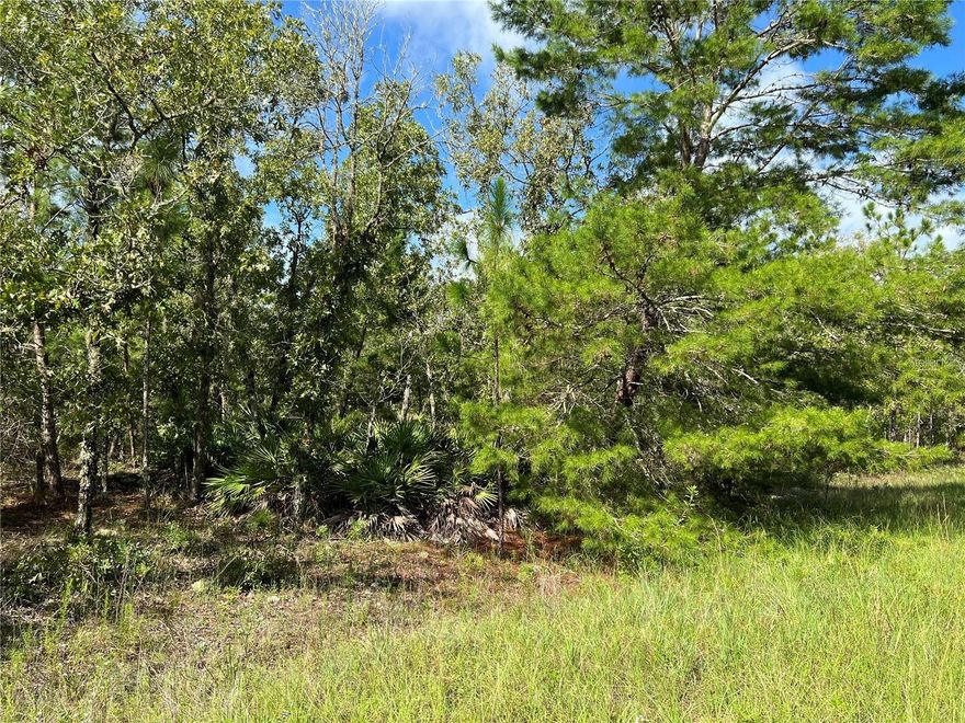 ROLLING HILLS BUILDING LOT – 1.16 acres (165 x 305) offering plenty of room for your new home and extra space for your toys, garden, or future outbuildings. Enjoy a peaceful country setting in the Rolling Hills community, centrally located between Ocala and Dunnellon and just a short drive to shopping, dining, medical facilities, and other amenities along SR 200. Build your dream home now or buy and hold as an investment in this growing area.